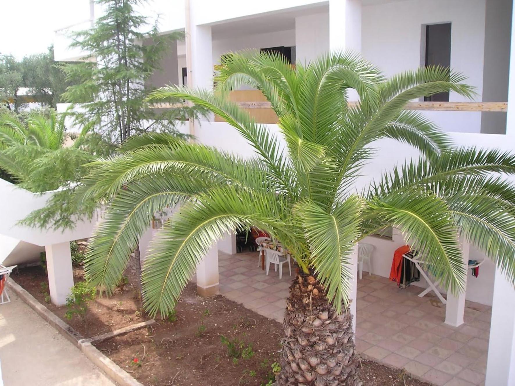 Residence Baia Del Gallo Вьесте Экстерьер фото